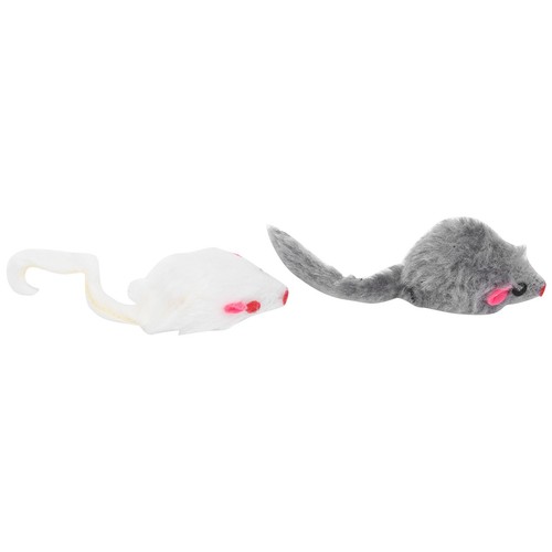 Confezione topi gatti - confezione,