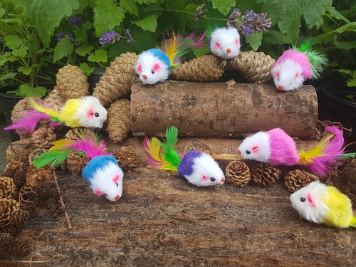 Peluche giocattolo topo - , gatto