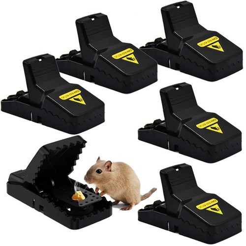 Trappole per topi - topi,